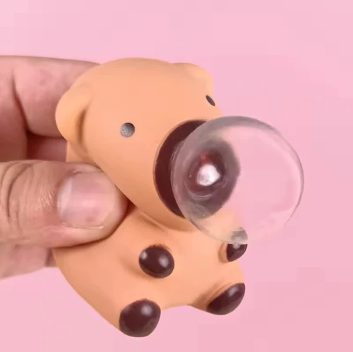 קפיברה בועה מתנפחת