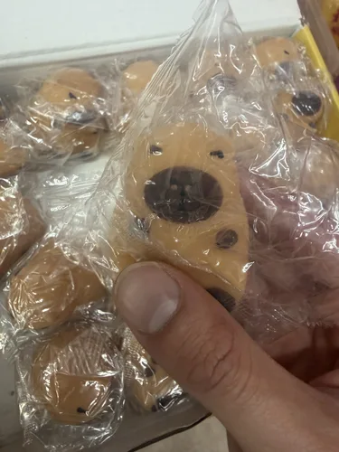 קפיברה מים - פידג'ט טויס