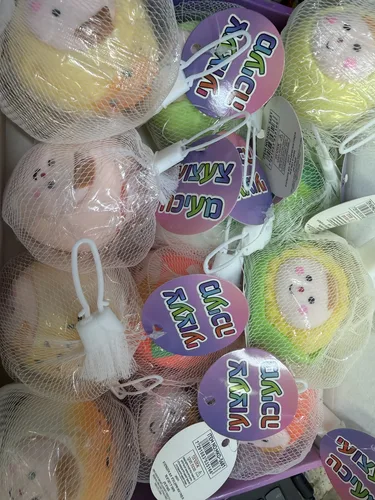 פירות נידו קטן - פדיגט טויס