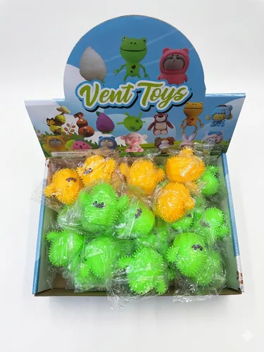 מיני קקטוס נידו